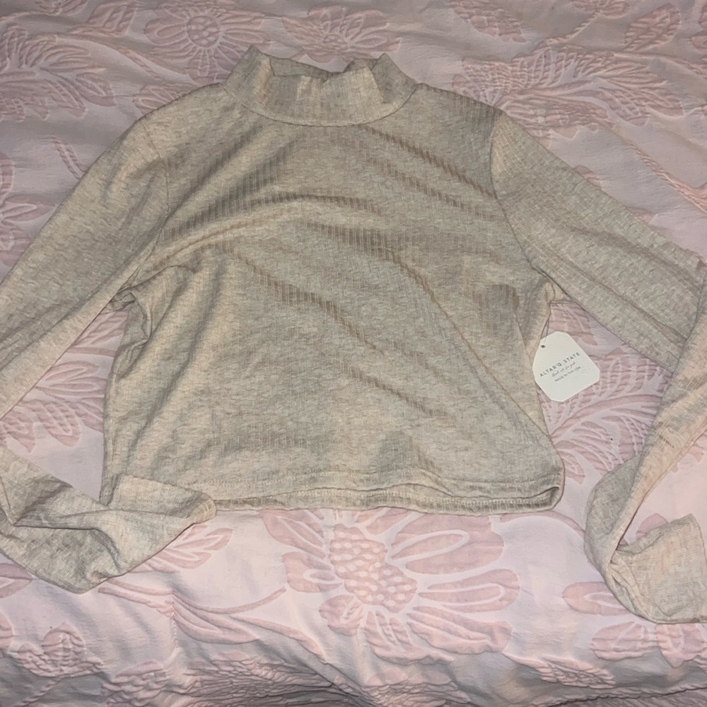 Altard state turtle neck